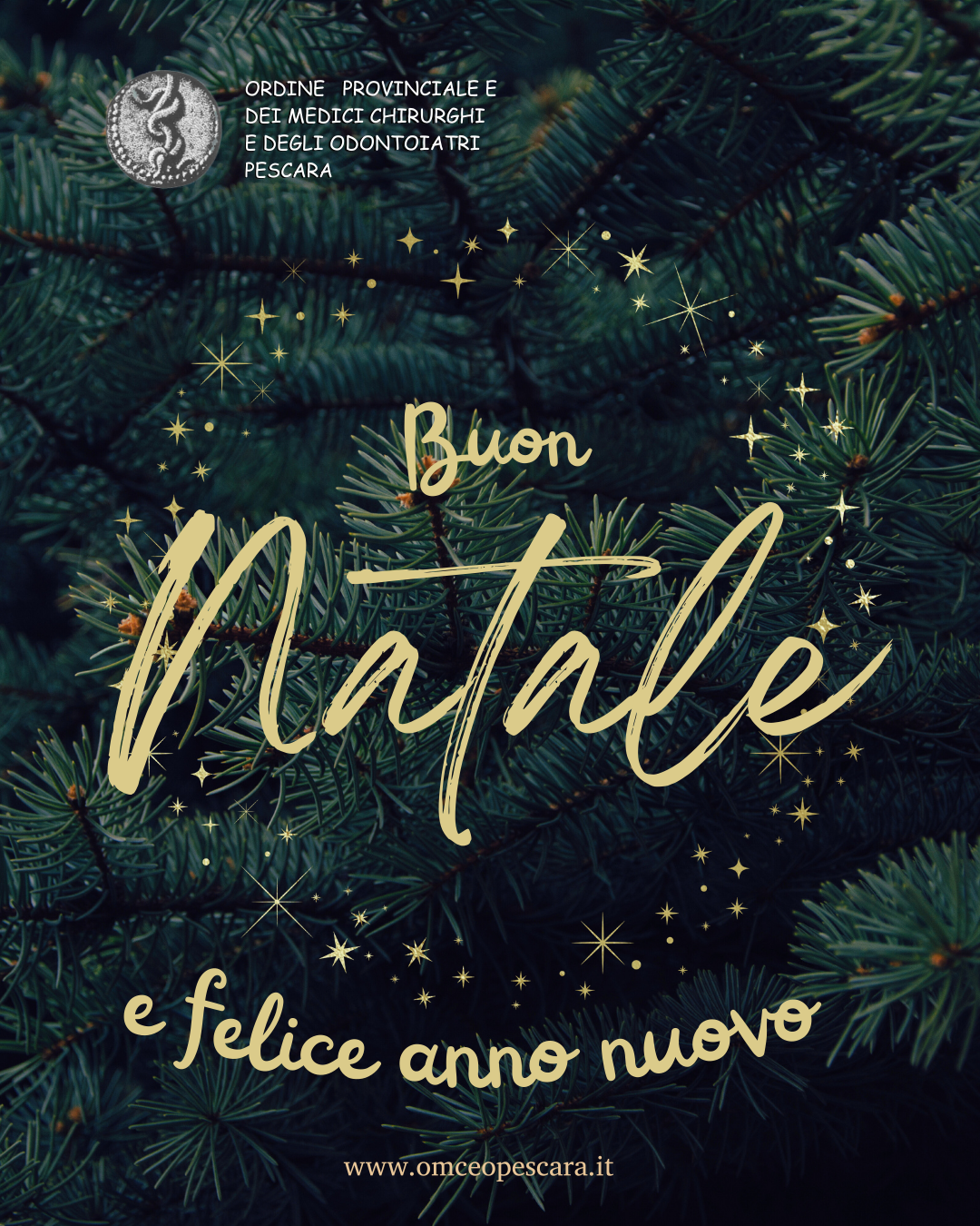 Clicca per accedere all'articolo Messaggio di Natale 2025